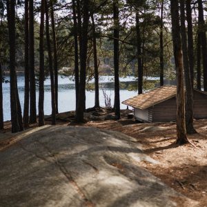 A Lone cabin next to a lake in the Swedish forest