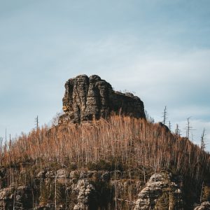 Sandstone rock formation rising above a fire scarred forest in the Czech Republic