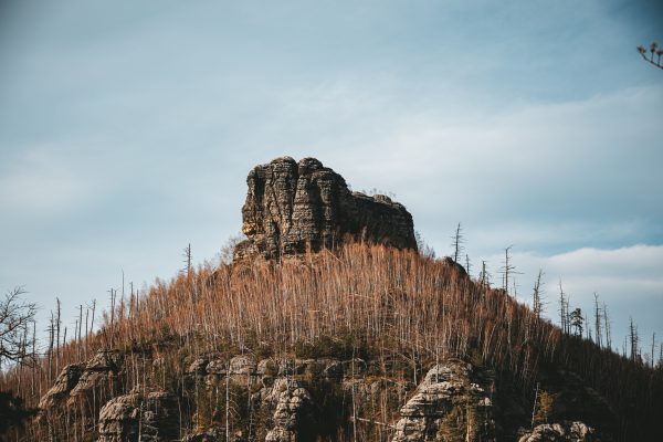 Sandstone rock formation rising above a fire scarred forest in the Czech Republic