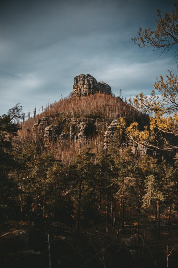 Monolithic rock outcrop towering over a copper and green forest hill under a moody sky in Bohemian Switzerland